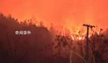 貴州山火五日:“無聲”的萬人救援