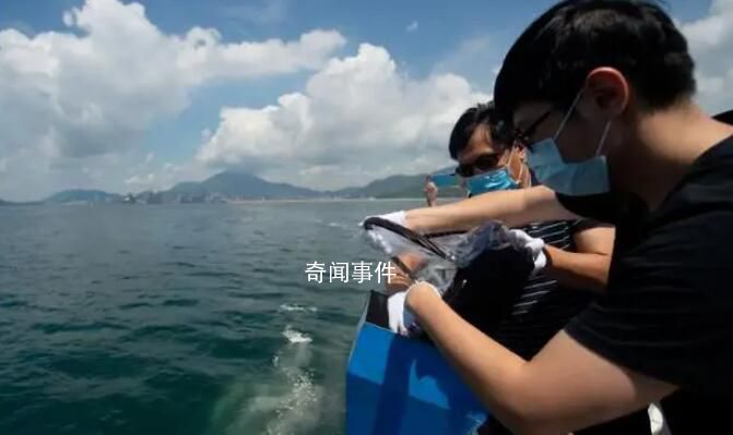 網友吐槽海葬太貴了 為何只是將骨灰撒入海中就要花費上萬?