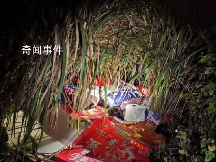 失蹤4姐弟凌晨被發(fā)現(xiàn)在蘆葦叢睡覺