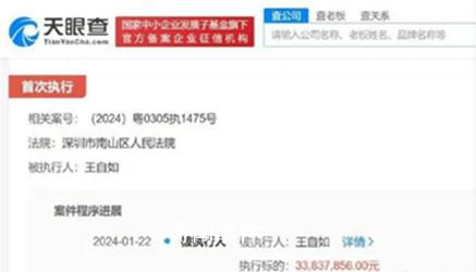 格力回應王自如被執(zhí)行3383萬 執(zhí)行法院為深圳市南山區(qū)人民法院