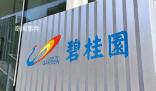 碧桂園被提出清盤呈請 回應稱堅決反對