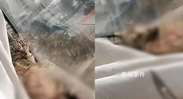 青海大壩潰堤未造成人員傷亡 共5個(gè)鄉(xiāng)鎮(zhèn)的生產(chǎn)生活造成影響