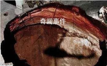 世間十大真實靈異事件至今無解 大家來看看有多么離奇難以相信