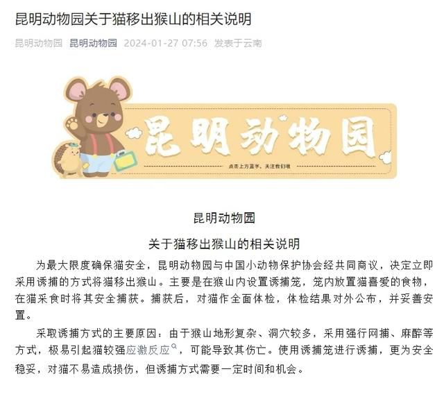 昆明動物園:立即誘捕將貓移出猴山