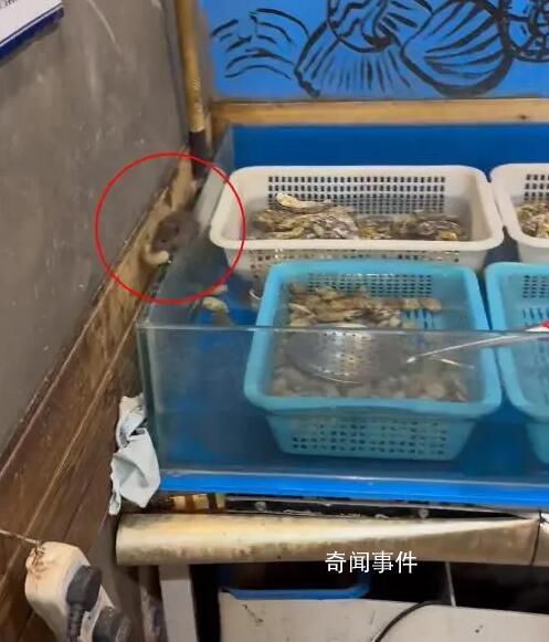 男子在飯店吃燒烤 看見老鼠叼著海鮮