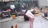 女子經(jīng)過(guò)門口被公雞欺負(fù) 結(jié)果反轉(zhuǎn)