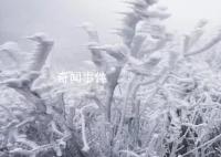 好消息:回暖了 壞消息:回南天來了