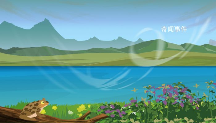 端午為什么要捕捉蟾蜍 蟾蜍為瘡科圣藥