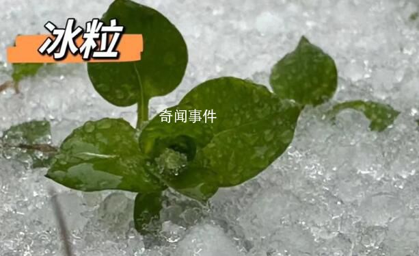 湖北已出現冰粒等七種降水形態 湖北降水相態類型復雜