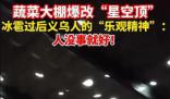 冰雹過后 蔬菜大棚爆改星空頂