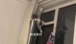小貓?zhí)洗皯舯豢跅U中間 貓：還不快抱我下來(lái)