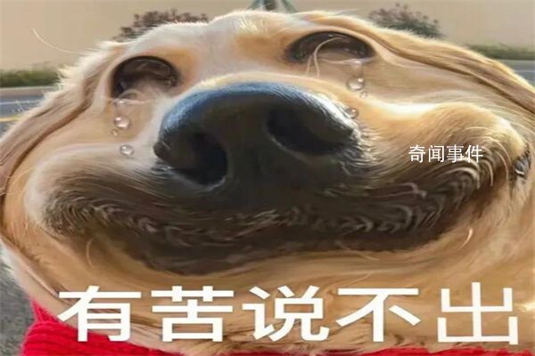 大淵種是什么梗 大淵種是什么意思
