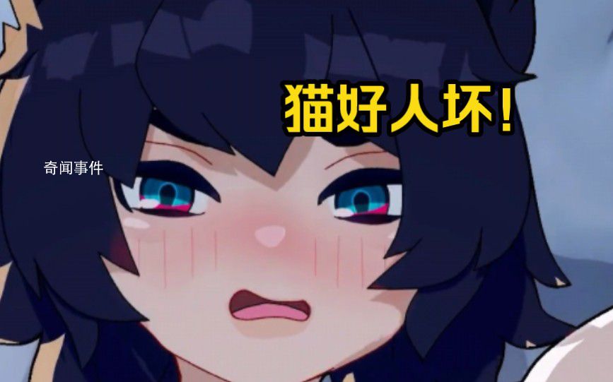貓好人壞是什么梗 貓好人壞是什么意思
