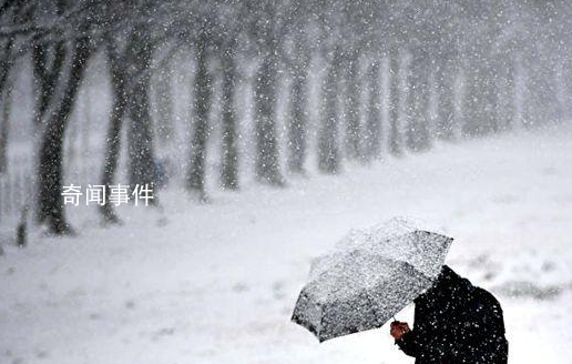 雪休是什么梗 雪休是什么意思