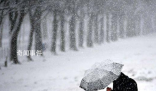 雪休是什么梗 雪休是什么意思