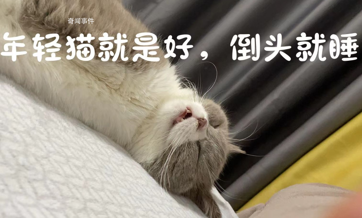 年輕真好倒頭就睡是什么梗 年輕真好倒頭就睡是什么意思