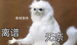  * 有多離譜是什么梗  * 有多離譜是什么意思