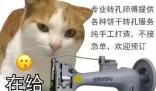 很忙在給蘇打餅干打孔是什么梗 很忙在給蘇打餅干打孔是什么意思