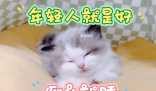 年輕真好倒頭就睡是什么梗 年輕真好倒頭就睡是什么意思