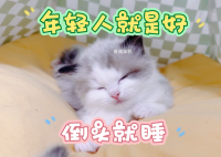 年輕真好倒頭就睡是什么梗 年輕真好倒頭就睡是什么意思