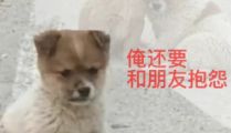 胡說(shuō)八道文學(xué)是什么梗 胡說(shuō)八道文學(xué)是什么意思