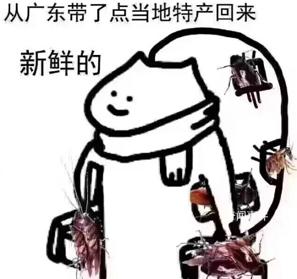 拿著拿著廣東蟑螂是什么梗 拿著拿著廣東蟑螂是什么意思