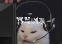 我去年買了個包超耐磨是什么梗 我去年買了個包超耐磨是什么意思