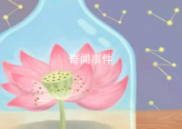 神金是什么梗 神金是什么意思