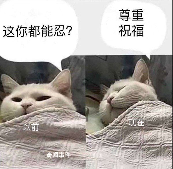 尊重祝福是什么梗 尊重祝福是什么意思