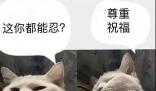 尊重祝福是什么梗 尊重祝福是什么意思